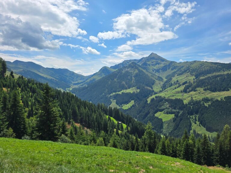 EAGGA-Niederleger Alm