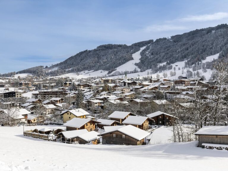 Uriges Chalet 3
