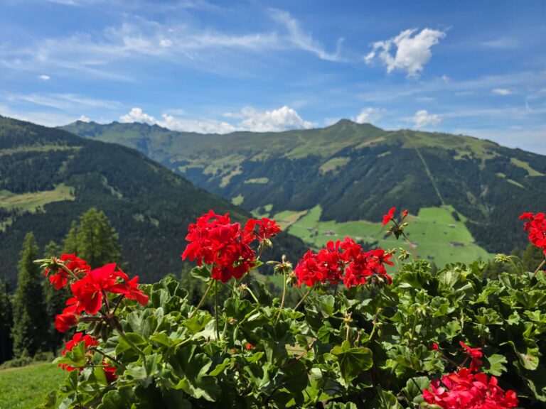 EAGGA-Niederleger Alm