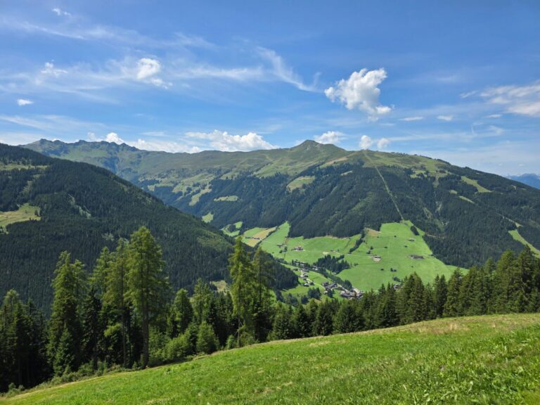 EAGGA-Niederleger Alm