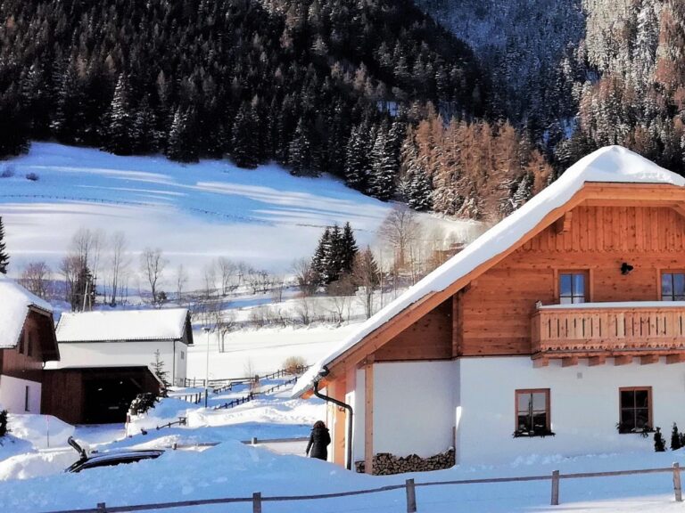 Wolfgangchalet B