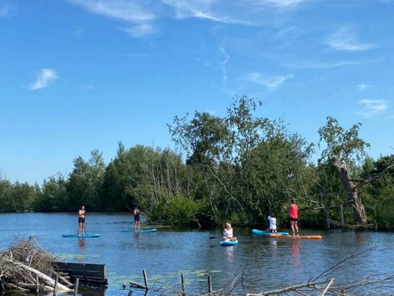 Grote Karekiet 24-22