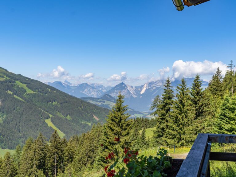 EAGGA-Niederleger Alm