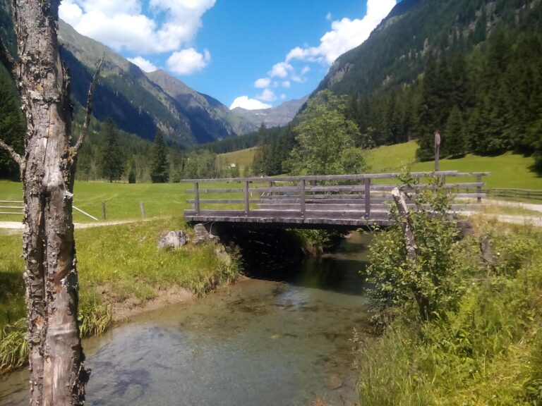 Wolfgangchalet B