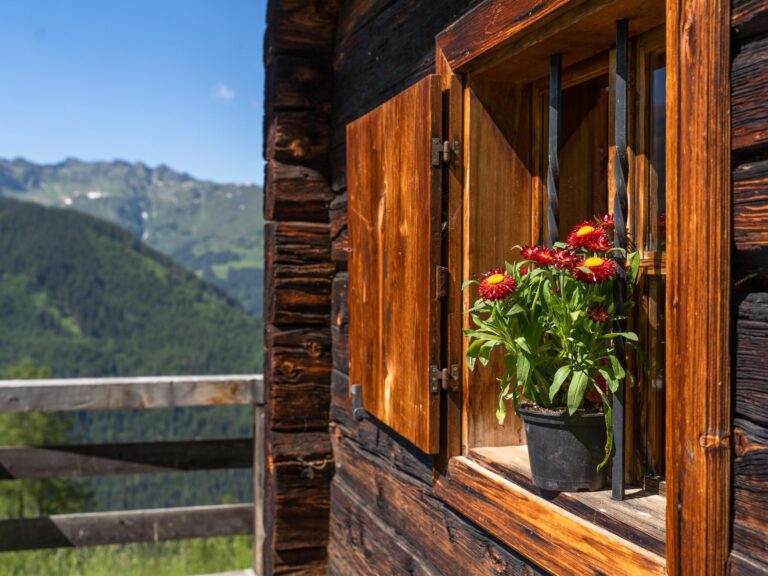 EAGGA-Niederleger Alm