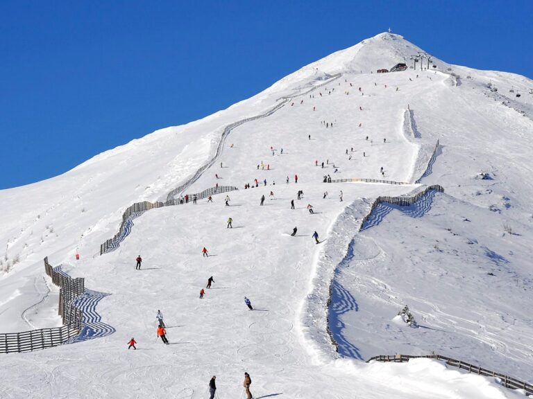 Wolfgangchalet B