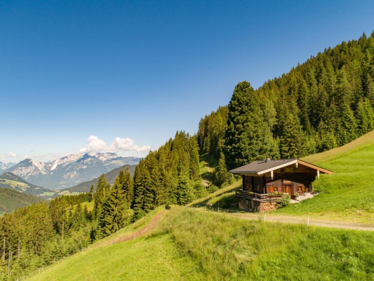 EAGGA-Niederleger Alm
