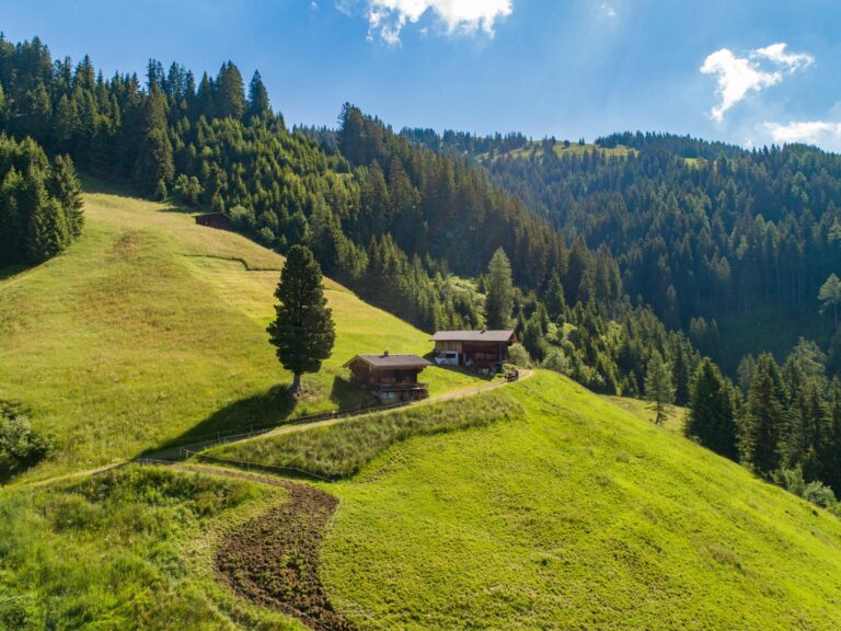 EAGGA-Niederleger Alm