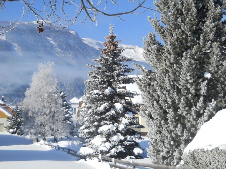 Wolfgangchalet B