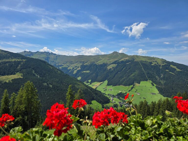 EAGGA-Niederleger Alm