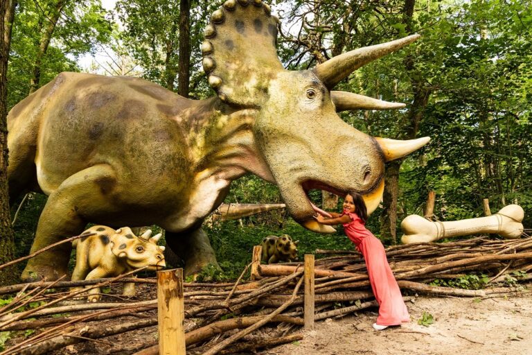 Ganzebeek 14-person bungalow