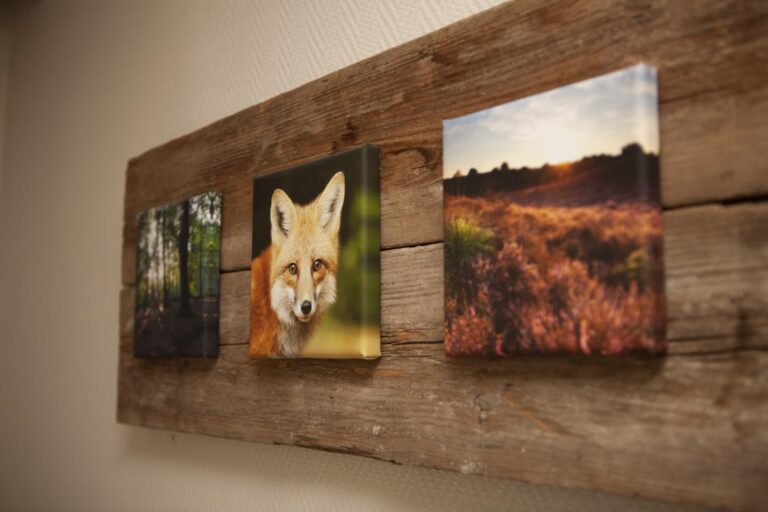 Ganzebeek 14-person bungalow