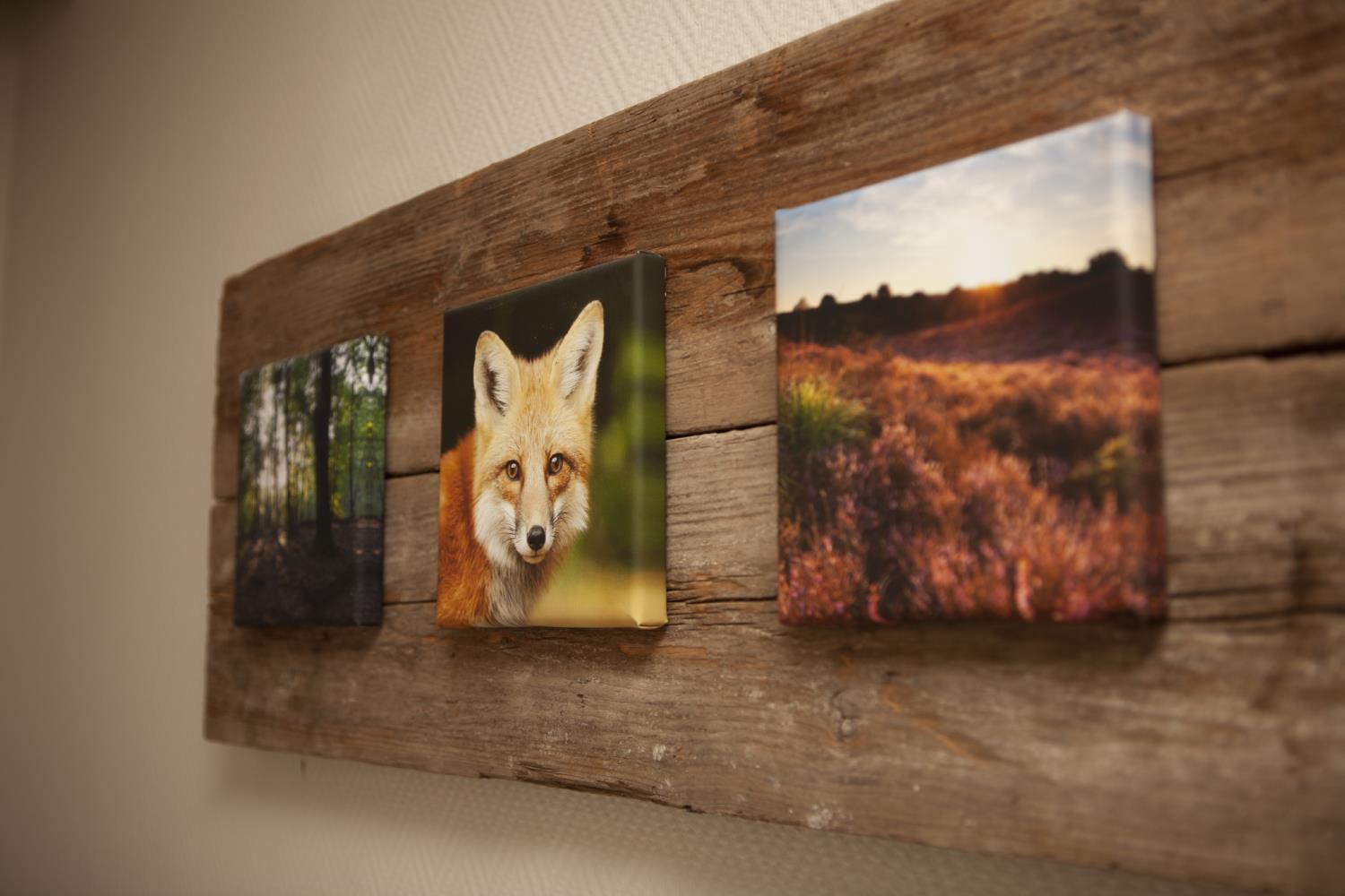 Ganzebeek 14-person bungalow