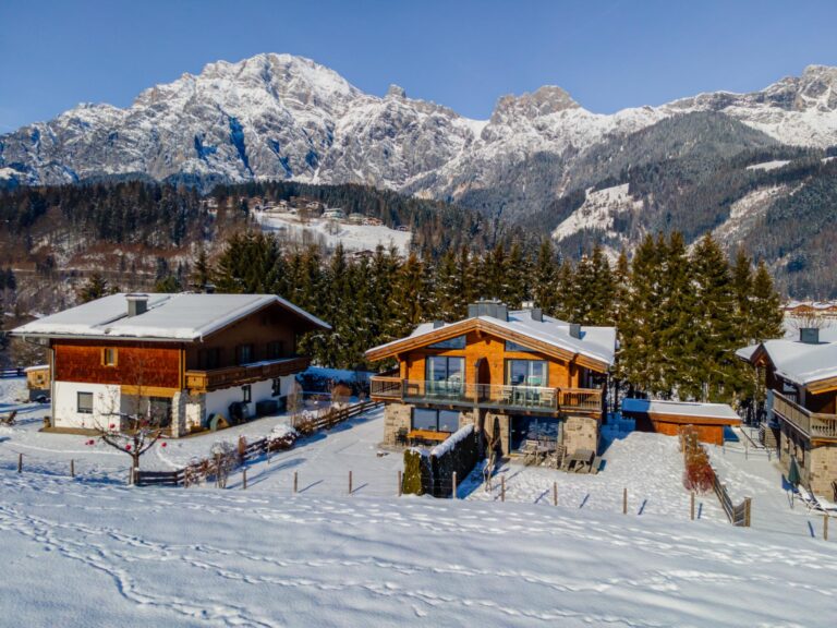 Chalet Schneelöwe XL