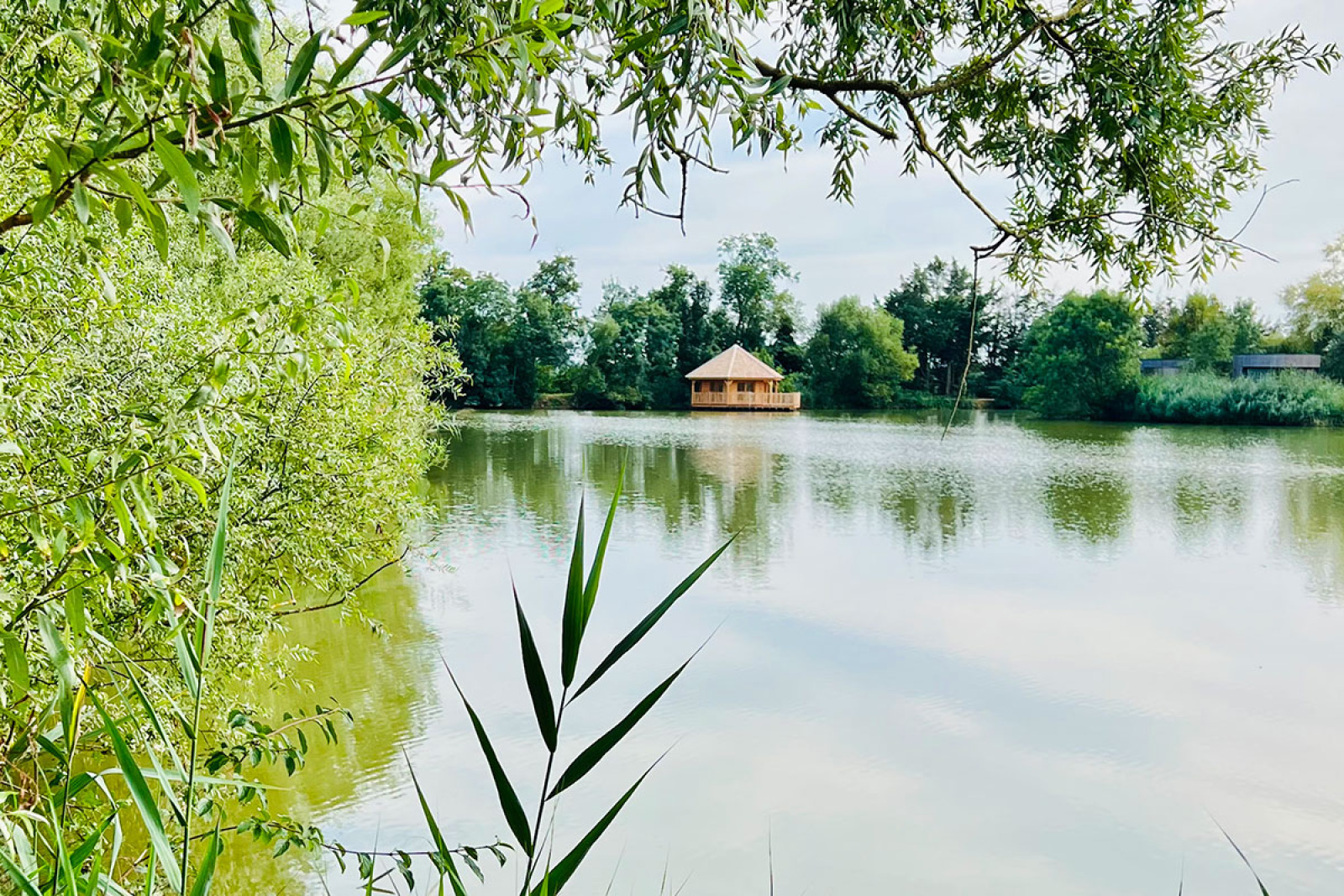 Domaine des Feuilles