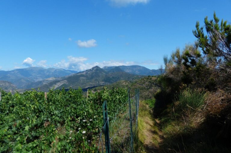 Residence C'era Una Volta Two-room Apartment 2 Pax